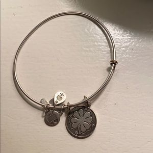 Lucky Charm Alex and Ani